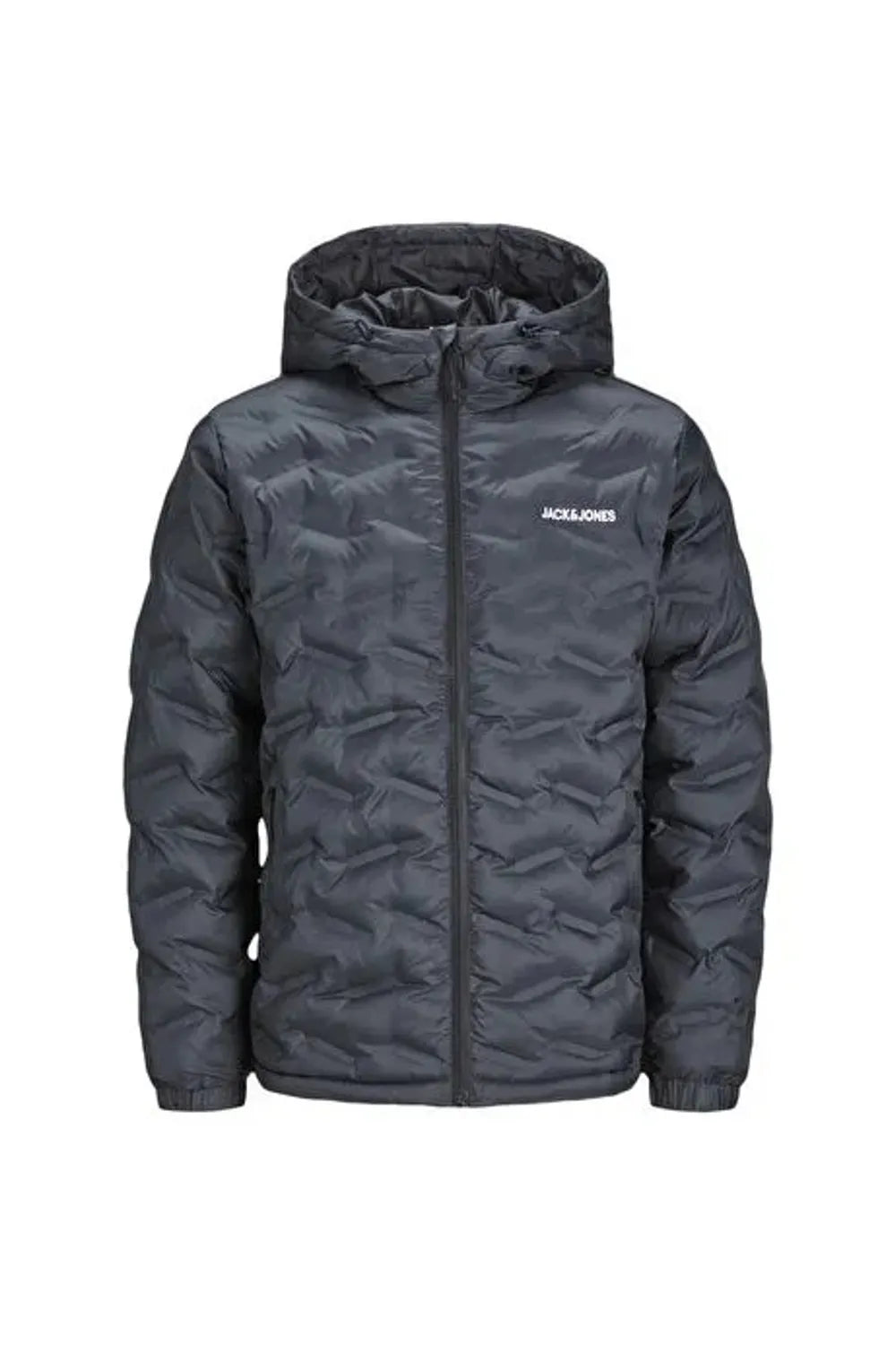 Jack & Jones Erkek Koyu Gri Ceket 12250429