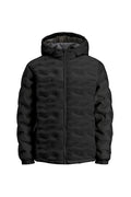 Jack & Jones Erkek Siyah Ceket 12250429