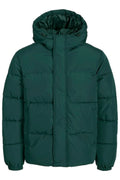 Jack Jones Erkek Essentials Jjebradley Comfort Fit Kapüşonlu Yeşil  Mont  12256974Y