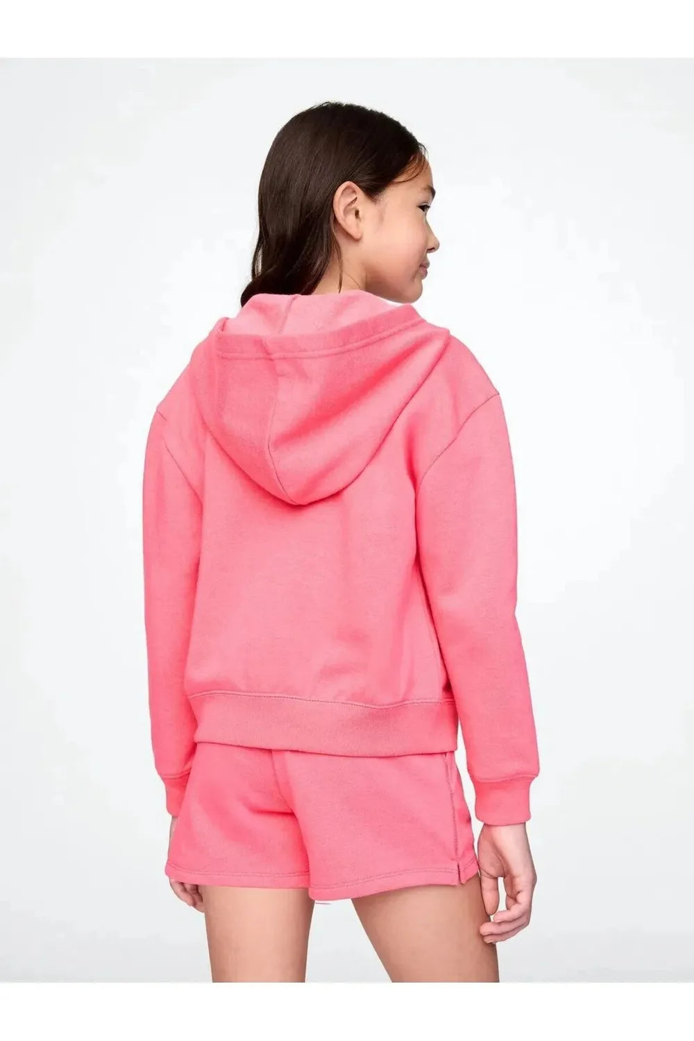 V-Frch Ft Logo Fz Sweatshırt