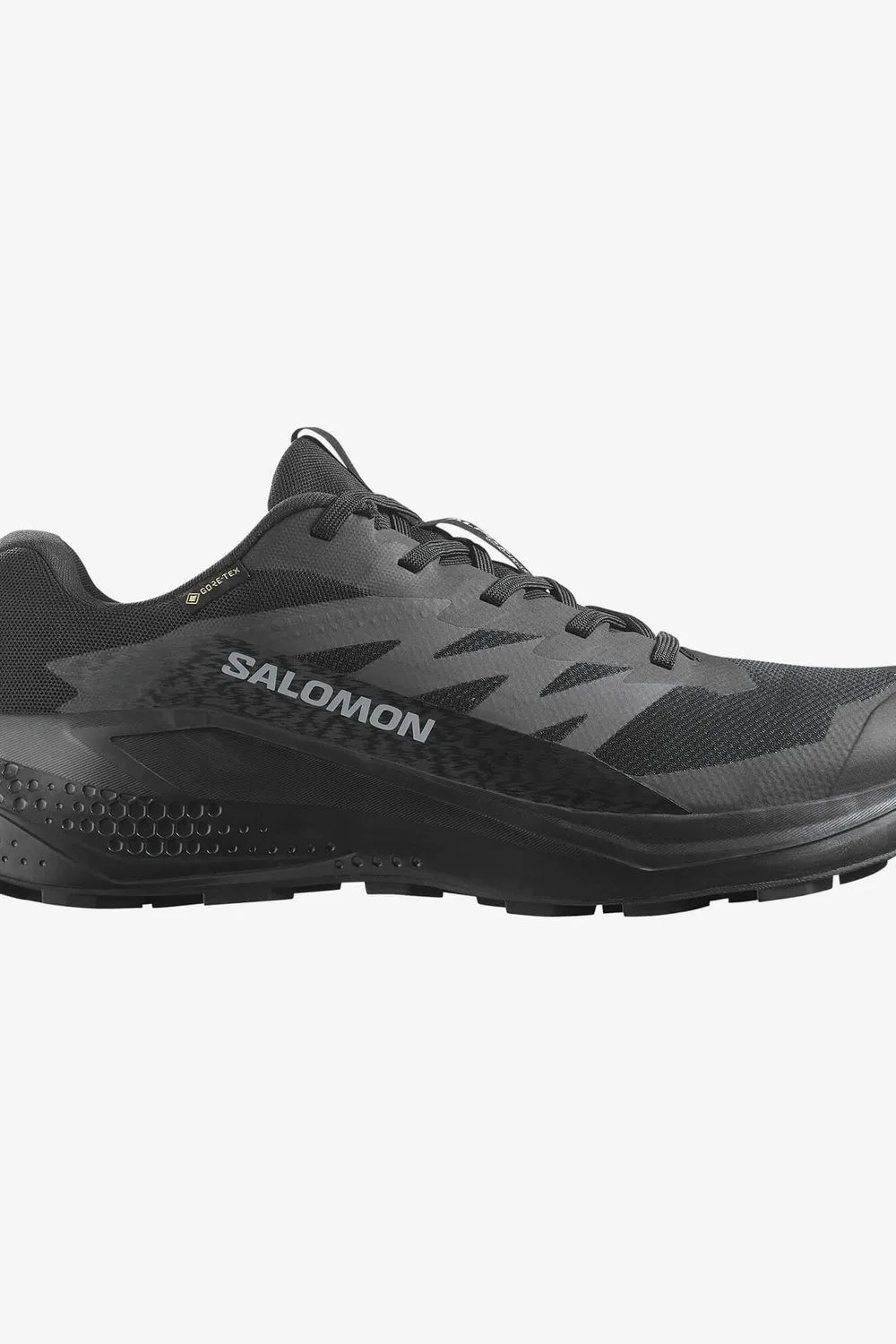 ALPHAGLIDE Erkek Siyah GORE-TEX L47802100