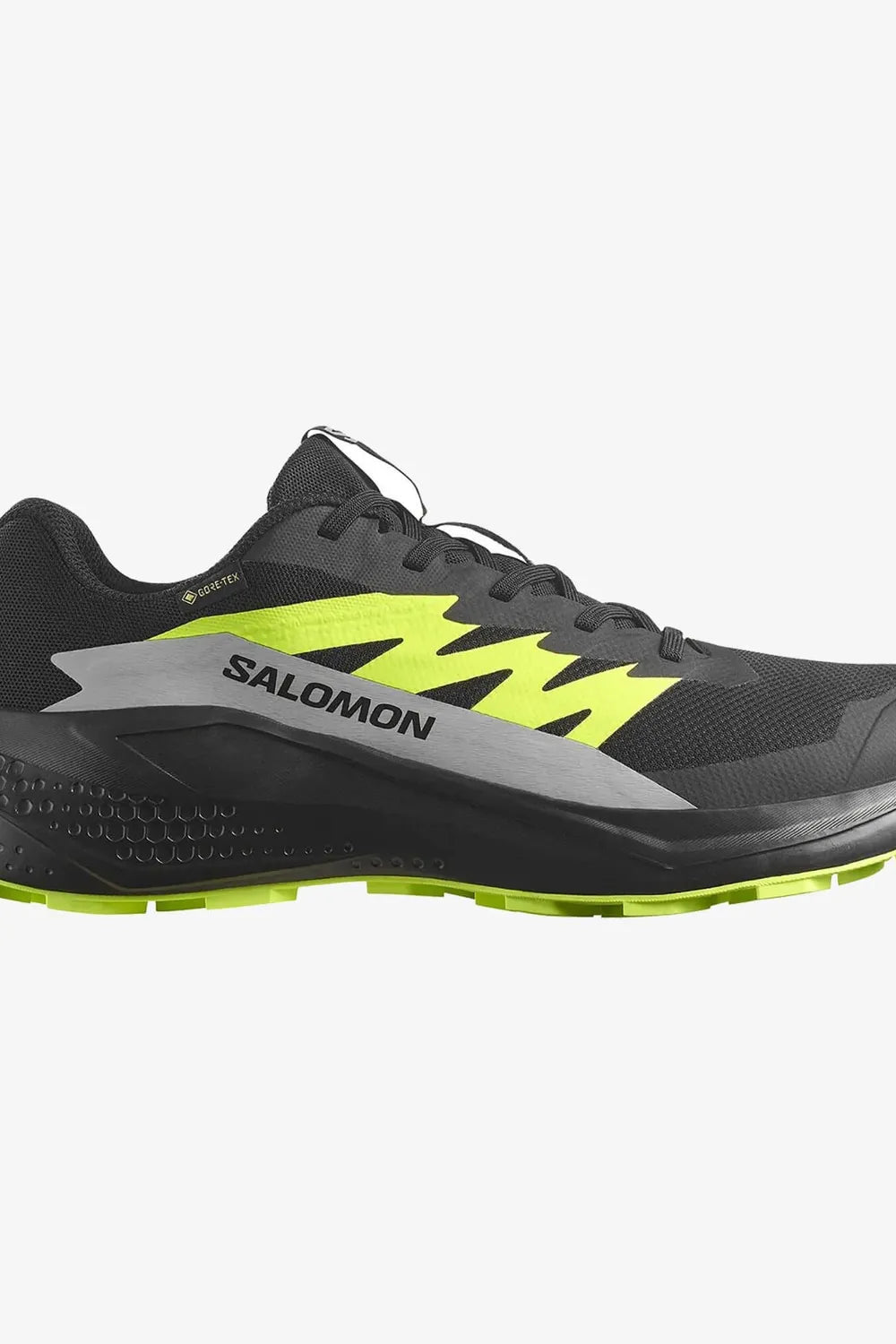 ALPHAGLIDE Erkek Siyah GORE-TEX L47802000