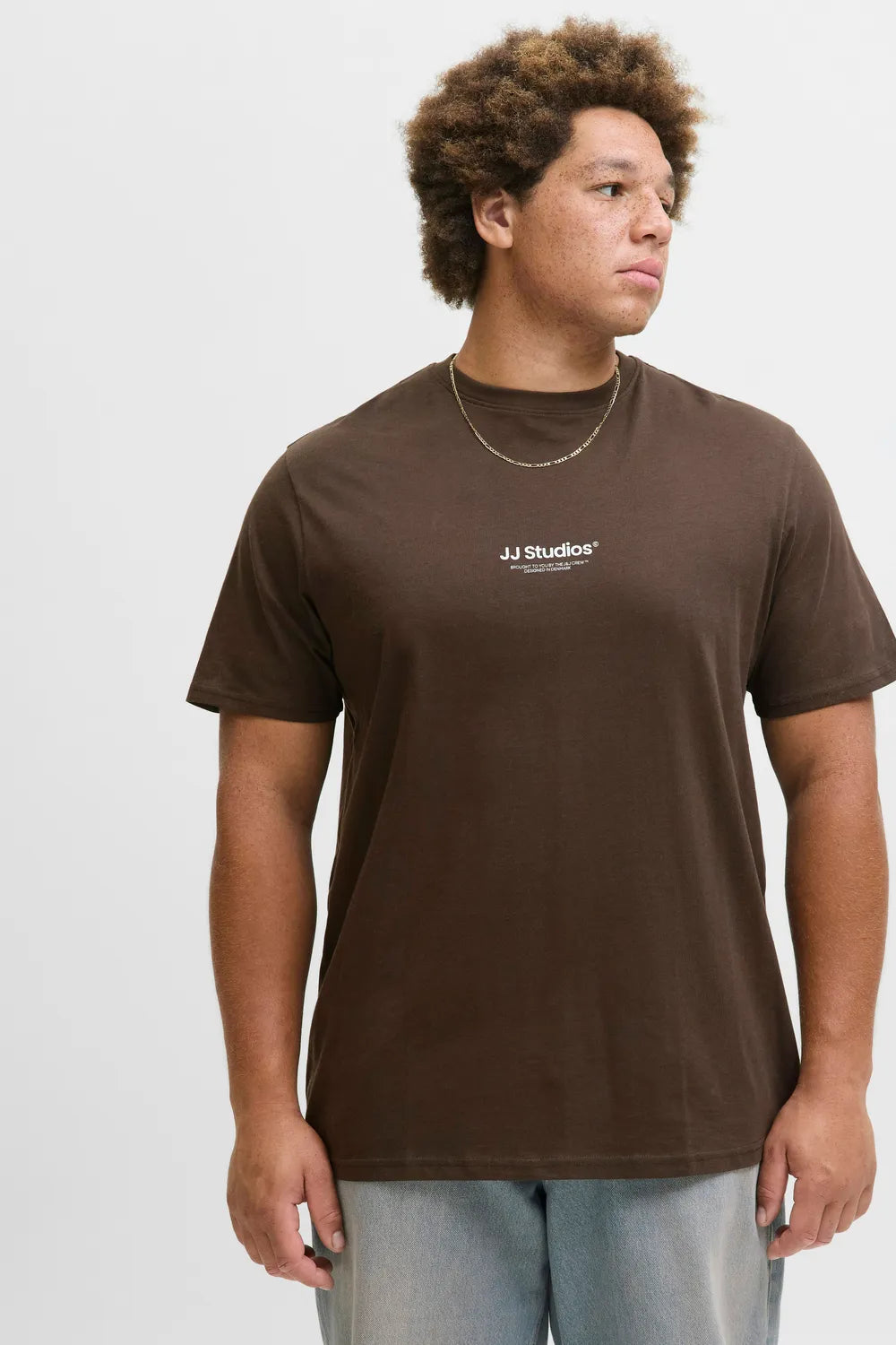 Jack&Jones Plus Erkek Delicioso Tişört 12279591