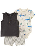 Carters Renkli Erkek Bebek Alt Üst Set 1P282710R