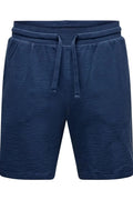 Only & Sons Erkek Lacivert Şort 22029752