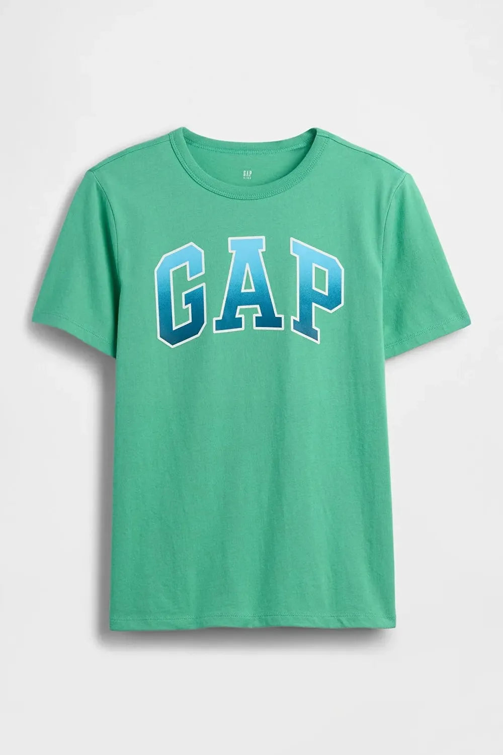 GAP Bright Meadow V-FRCH SS Value Tişört 884884000