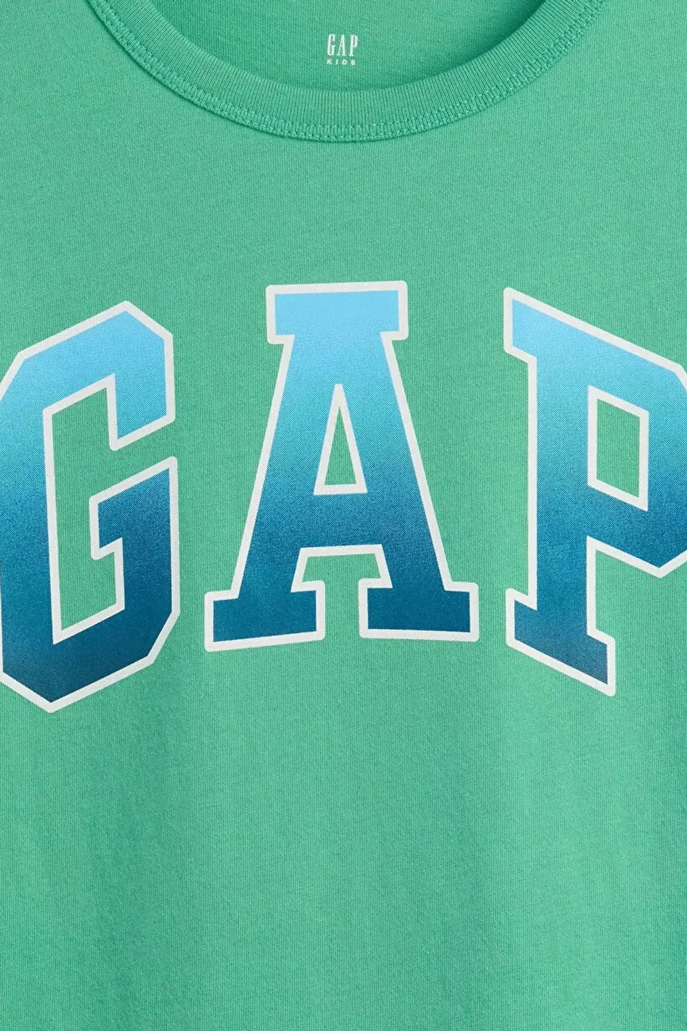 GAP Bright Meadow V-FRCH SS Value Tişört 884884000