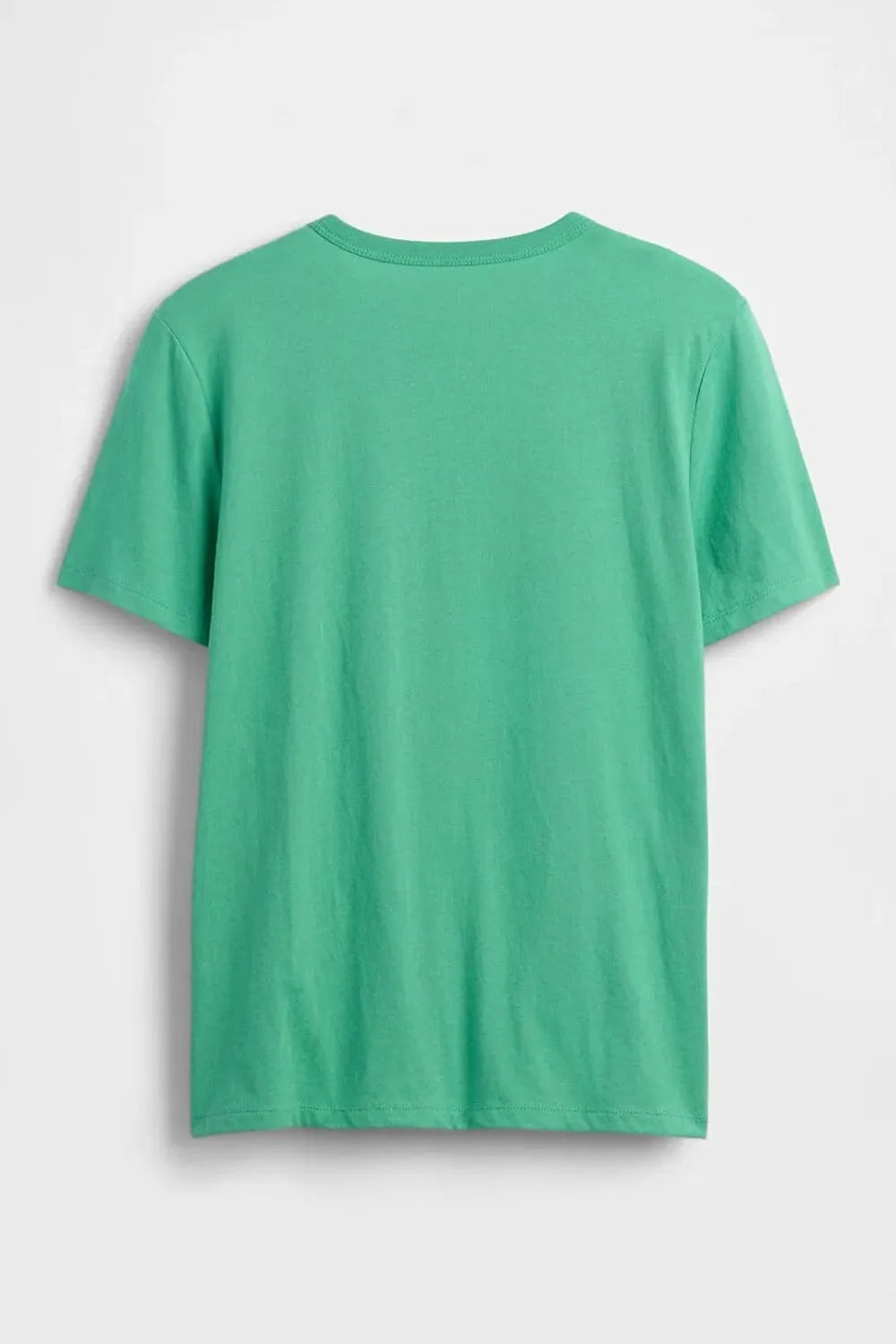 GAP Bright Meadow V-FRCH SS Value Tişört 884884000